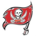 Tampa Bay Buccaneers Logo Pin
